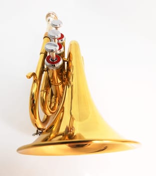 Pocket Trumpet 2