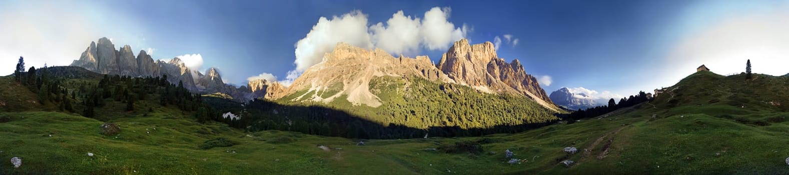 Stevia Panorama