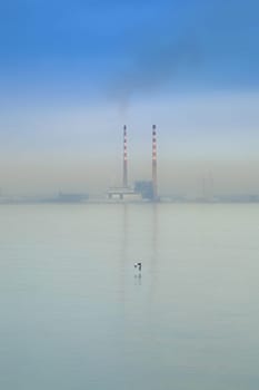 Pollution
