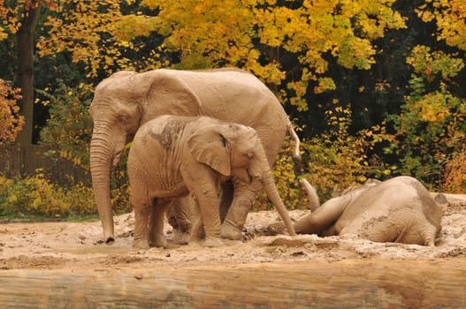 Body care at the sandpit...