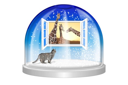 Snow globe -24-