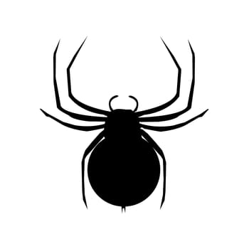 spider