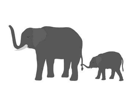 Elephant cow with cub