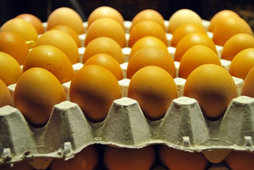 Eggs 7157