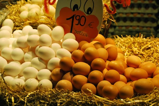 Eggs 7153