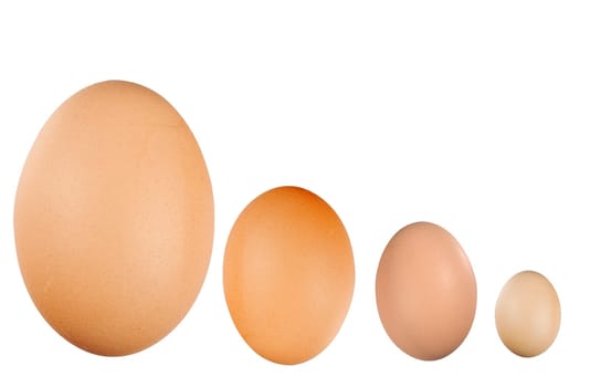 various egg