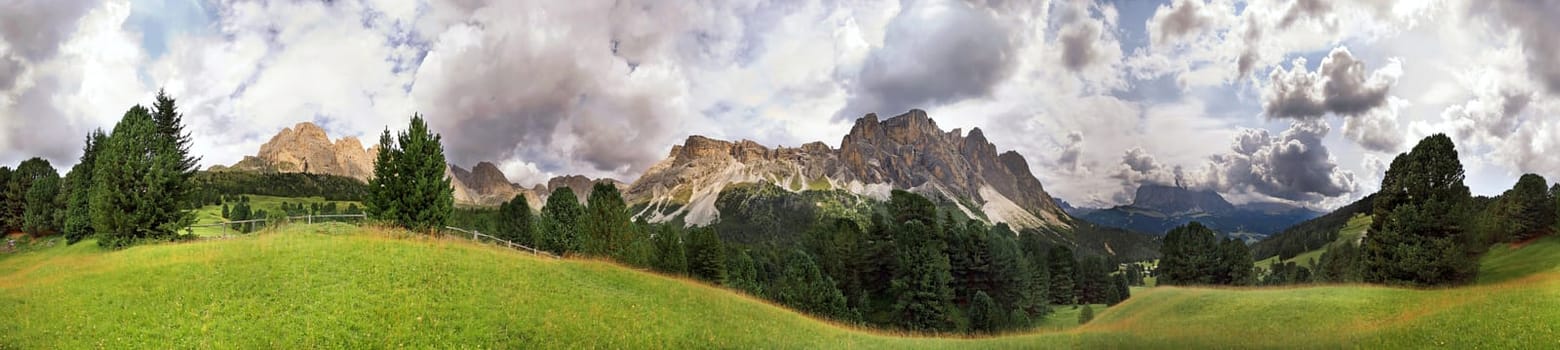 Stevia Panorama 2