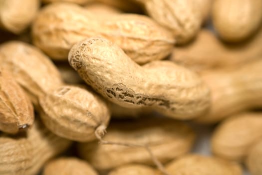 Peanuts