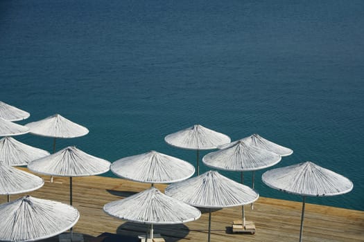 white umbrellas