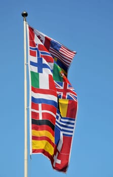 Country flag