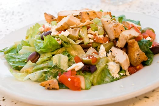 Caesar -Greek,Gourmet Salad