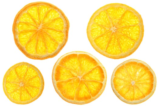 XL Orange Slices