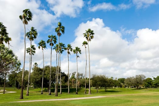Tropical Golf Course