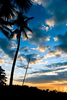 Sunset in Naples,Florida,USA