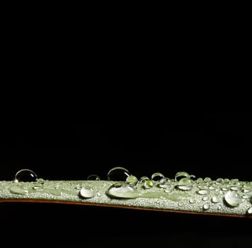 drop and leaf background