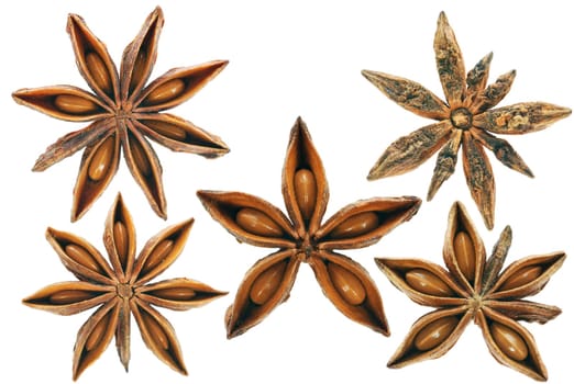 XL Star Anise