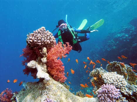 Female Diver in Coral Reef