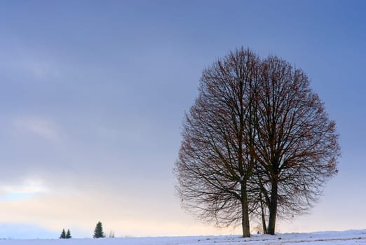 Winter in Basel 1
