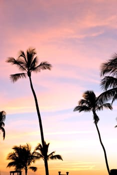 Sunset in Naples,Florida,USA