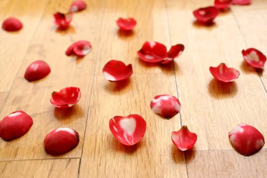 rose petals on the floor