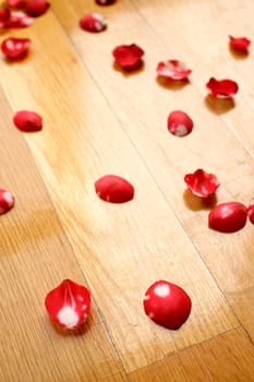 rose petals on the floor