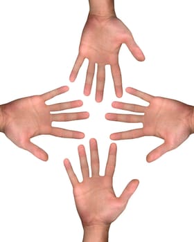 isolated hands over the white background