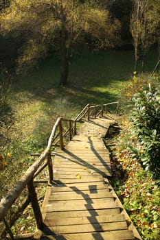 colorful leaves with stairs