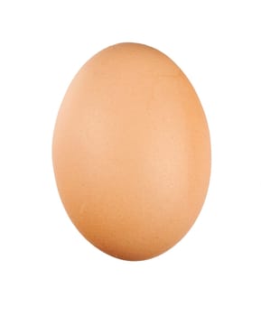 fresh egg