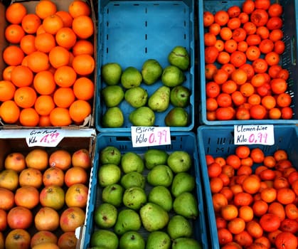 fruit