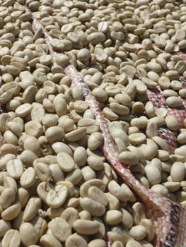 Highland coffee from Thailand