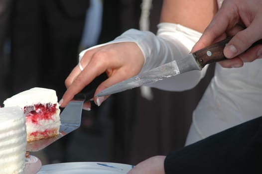 Cutting the wedding cake