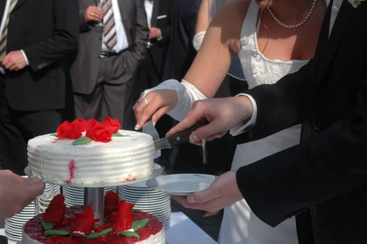 Cutting the wedding cake