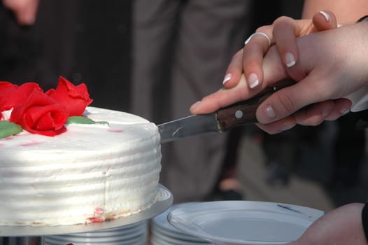 Cutting the wedding cake
