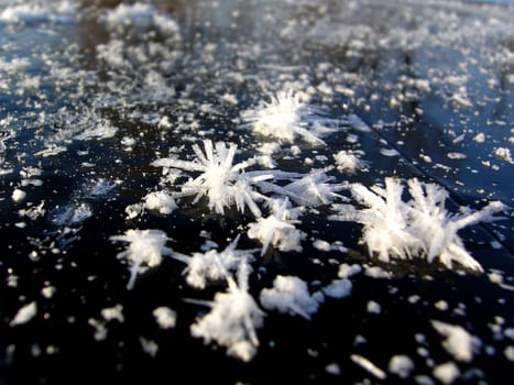 Ice crystals on a frozen lake