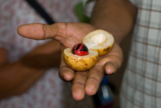 nutmeg