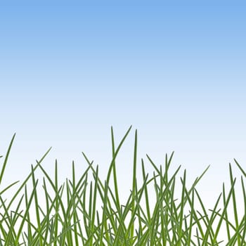 Grass