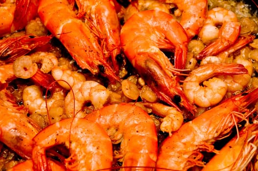 Prawns