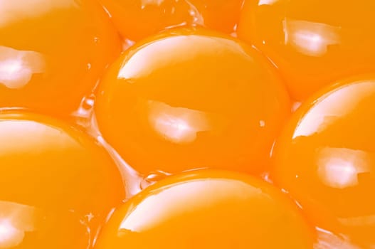 Yolk