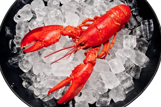 Lobster on ice