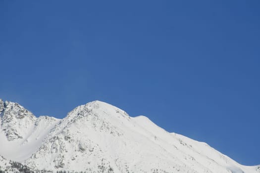 (mountains or mountain) high