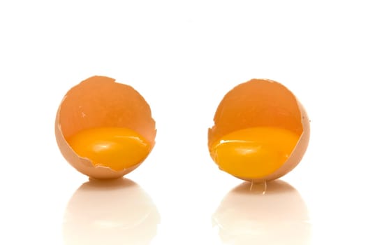 Yolk