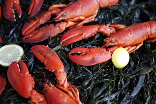 Lobster in the street display of a delicatessen