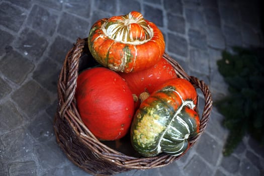 colorful pumpkins in wicker basket