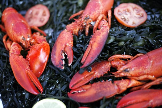 Lobster in the street display of a delicatessen