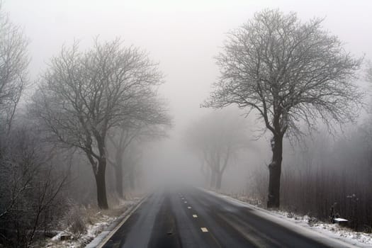 foggy road