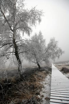 Winter in the High Fens