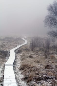 Winter in the High Fens