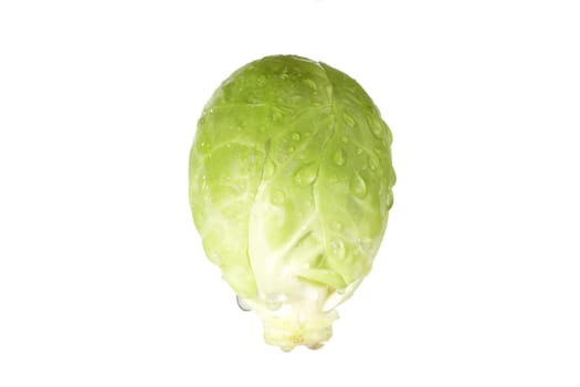 Brussels sprouts