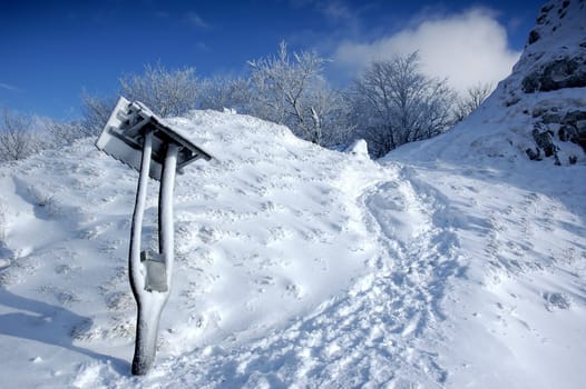 White winter landscape