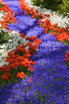 Flowers like a river